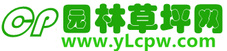 湖北武漢園林綠化草坪基地|武漢草坪種植修剪養(yǎng)護(hù)專業(yè)施工隊(duì)伍|草坪銷售