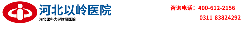 河北以嶺醫院