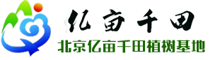 北京億畝千田植樹(shù)基地