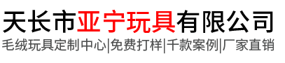 天長市亞寧玩具有限公司