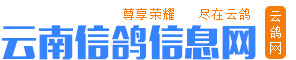 云南信鴿信息網