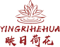 呼和浩特市映日荷花舞蹈藝術培訓教育-內蒙古舞蹈藝考集訓營