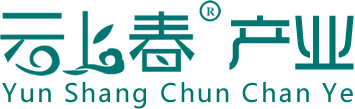 貴州云上春產業|云上春茶|貴州錦繡陽光文化傳播有限公司|貴州純沙酒|純沙酒加盟|純沙酒批發|純沙酒合作|純沙酒分銷|茅臺醬香白酒|貴州云上春產業