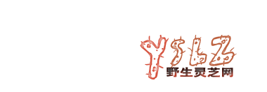 野生靈芝 網(wǎng)- 磚業(yè)的民間靈芝網(wǎng)站,您健康幸福人生的參考