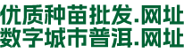 云南優質種苗批發_寧洱苗木批發_普洱苗木銷售_云南苗木供應_寧洱便民苗圃
