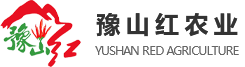 河南辣椒種子批發_高辣辣椒種子生產_河南特辣辣椒種子廠家-柘城縣豫山紅農業