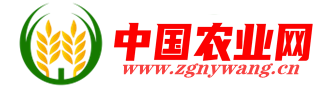 中國農(nóng)業(yè)網(wǎng) - www.zgagriculture.com-中國農(nóng)業(yè)網(wǎng)歡迎您訪問！