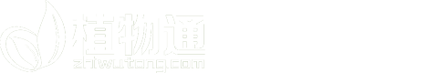 植物通--植物數據庫-zhiwutong