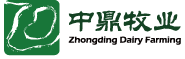 中鼎牧業(yè)-首頁