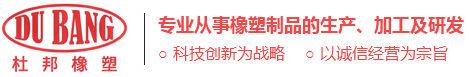 杜邦橡塑(鎮江)有限公司