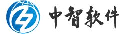 廣州市中智軟件開發有限公司