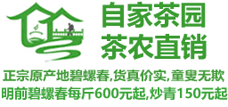 蘇州碧螺春_洞庭碧螺春_碧螺春價格_西山碧螺春_正宗碧螺春茶葉