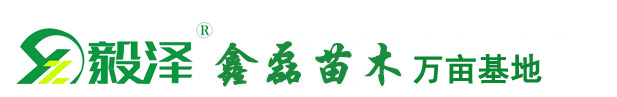 隆德縣鑫磊苗木專業(yè)合作社