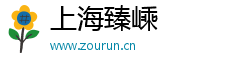 上海臻嵊電子商務有限公司