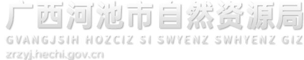 廣西河池市自然資源局網(wǎng)站